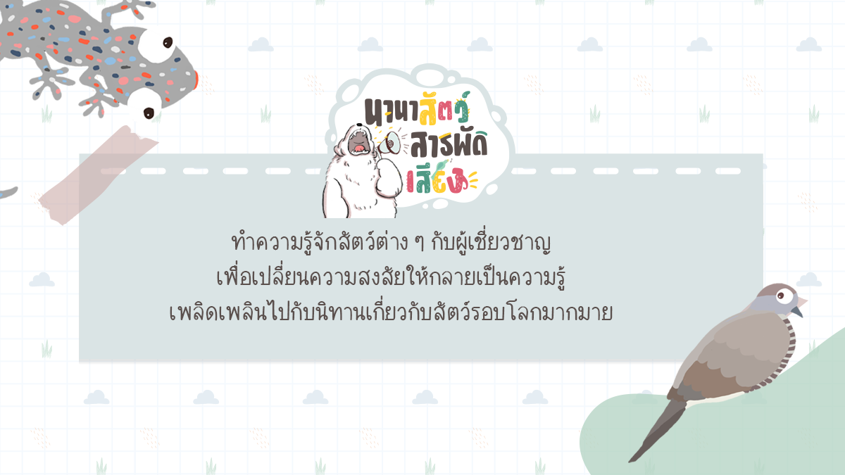 นานาสัตว์สารพัดเสียง